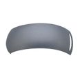 Gray Matte