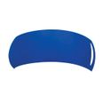 Royal Blue Matte