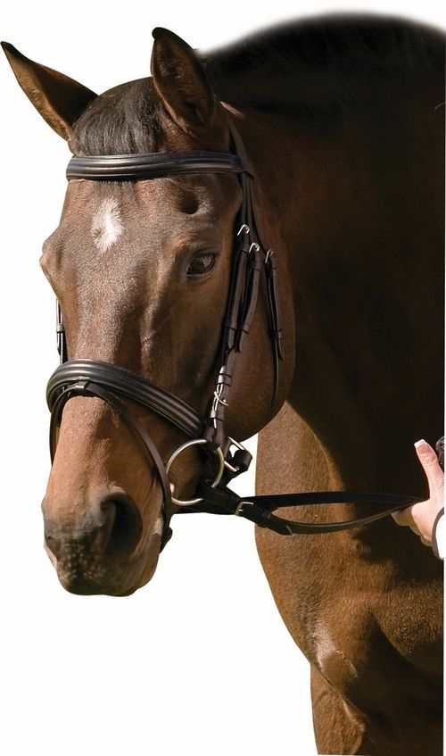 Henri de Rivel Pro Padded Raised Dressage Bridle w/Crank Flash Noseband w/Web Reins - Black