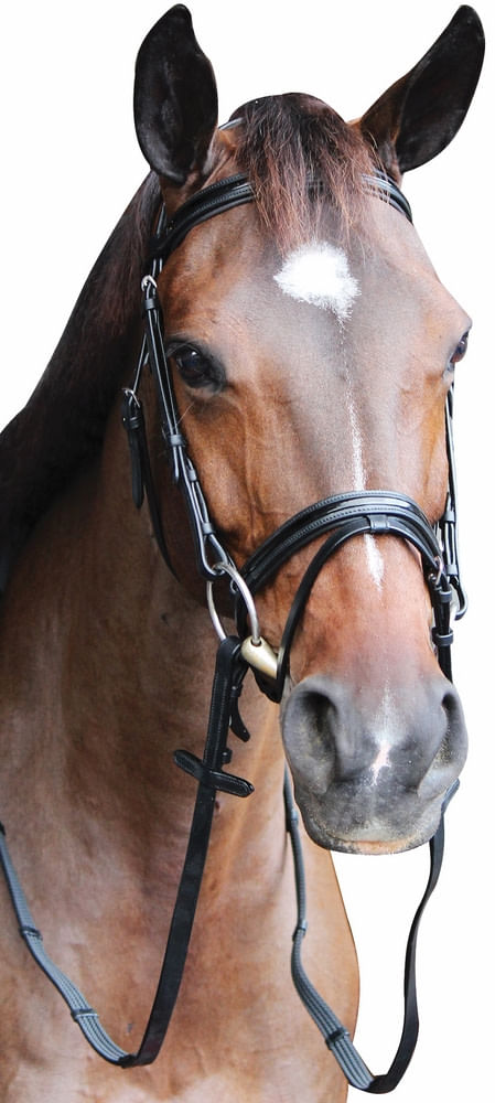 Henri de Rivel Pro Piaffe Mono Crown Patent Leather Bridle w/Flash Noseband & Web Rubber Reins - Black