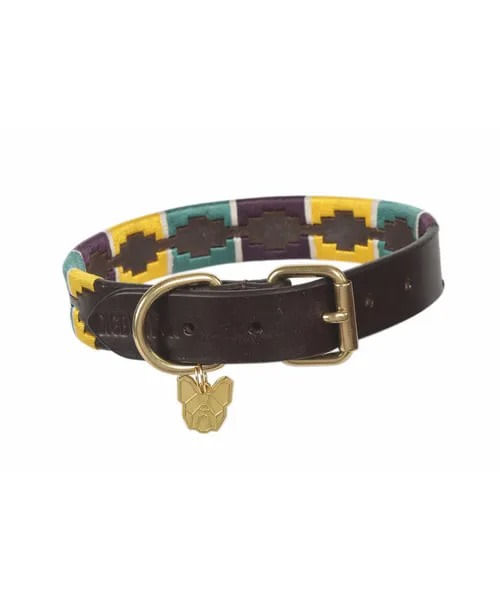 Digby & Fox Drover Polo Dog Collar - Yellow/Dark Green/Purple