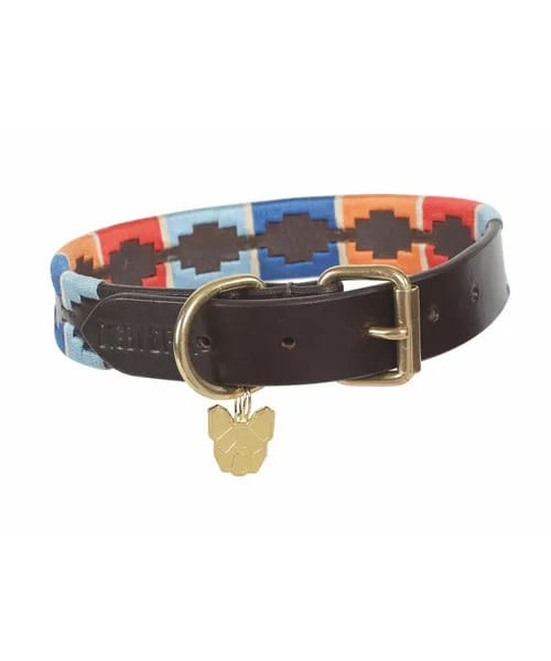 digby and fox collar