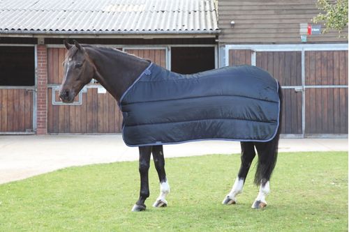 Shires Warma Rug 100 - Black