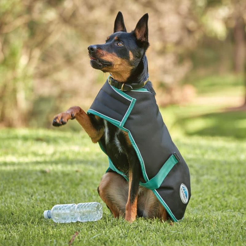 Weatherbeeta Green Tec 900D Dog Coat Lite Plus Black Bottle