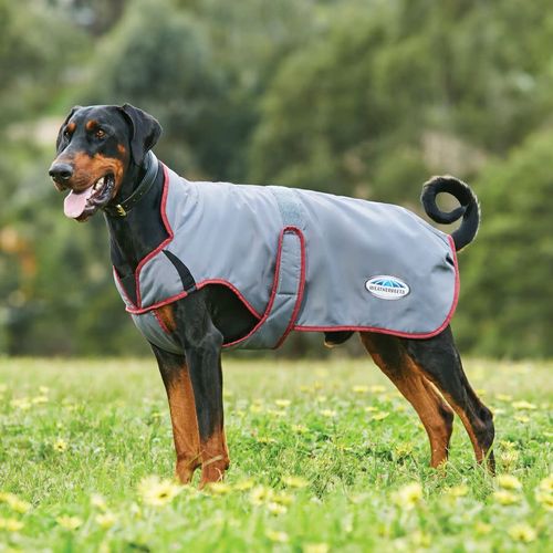 Weatherbeeta Comfitec Windbreaker Free Deluxe Dog Coat - Maroon/Grey/White