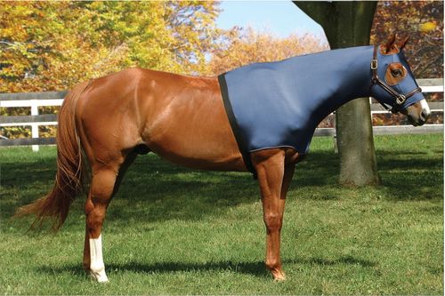 Flex Rider Stretchies Hood - Navy