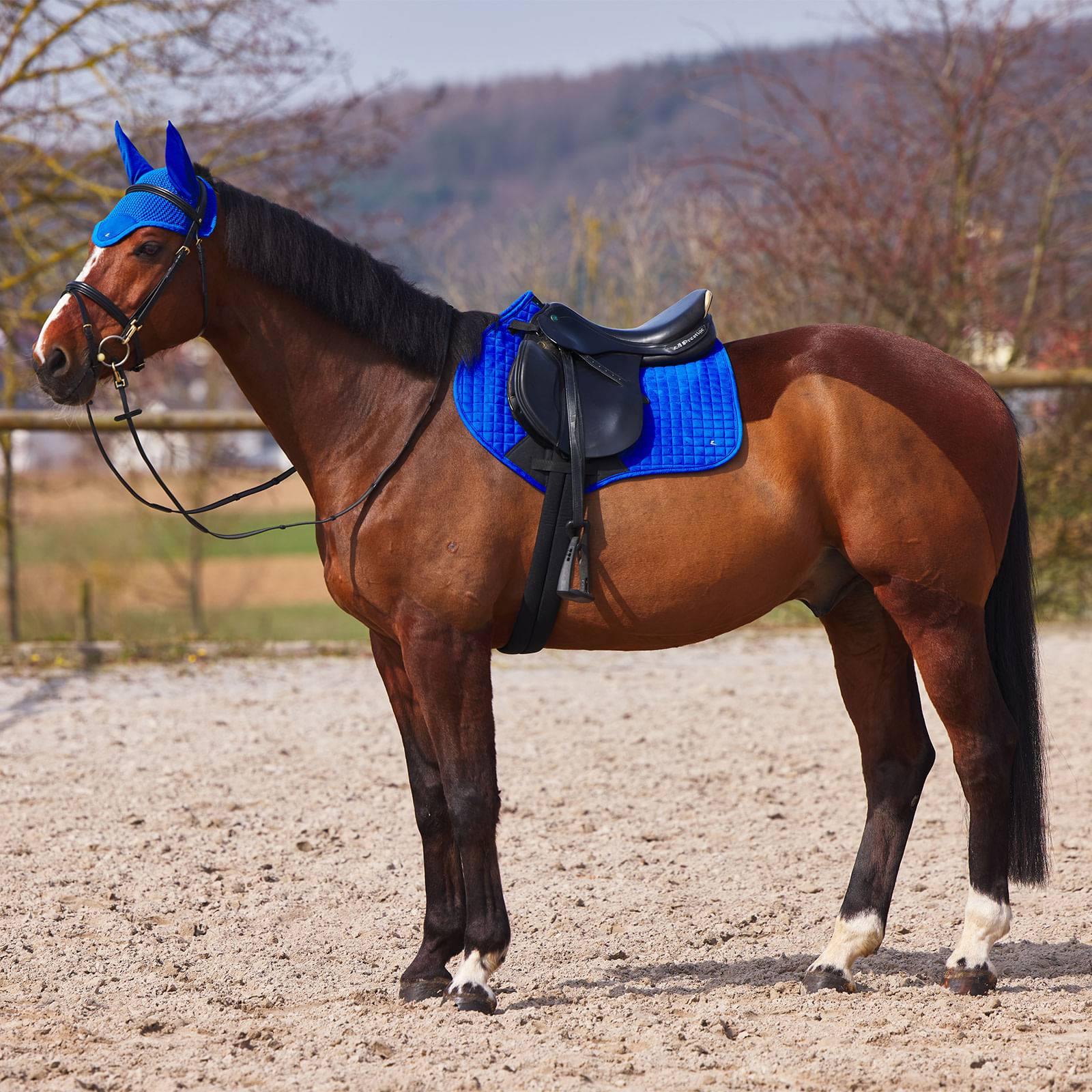 Horze Cooling Ear Net - Royal Blue - Horze-22927-RB - Tack