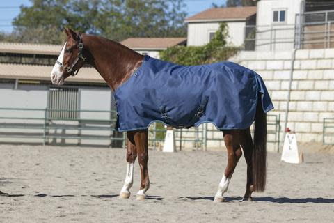 Kensington Signature Heavy Weight Turnout - Navy