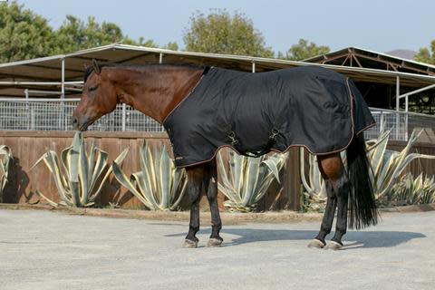 Kensington Signature Heavy Weight Turnout - Black