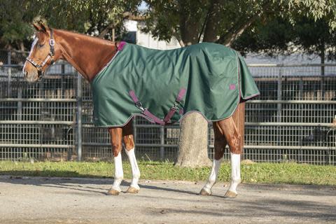 Kensington Signature Medium Weight Turnout - Hunter