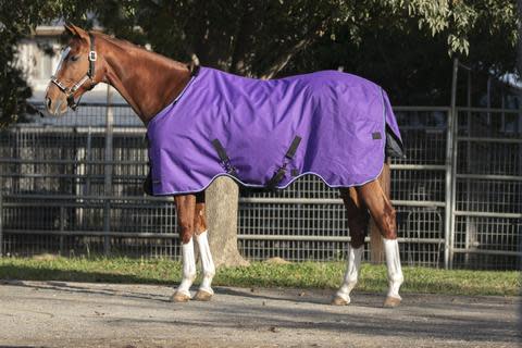 Kensington Signature Medium Weight Turnout - Purple