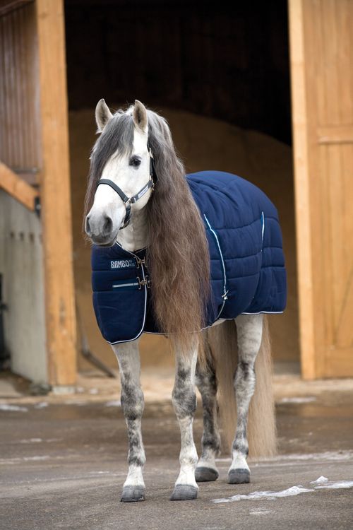 Rambo Stable Blanket 200g - Navy/Navy/White