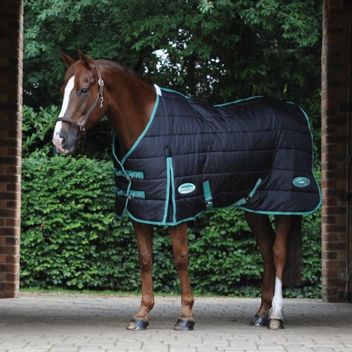 Weatherbeeta Green-Tec Stable Standard Neck Medium/Lite - Black/Bottle Green