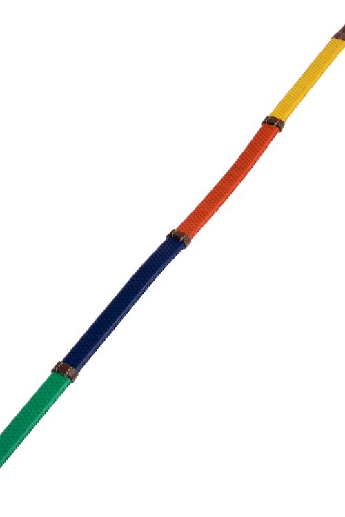 Kincade Rainbow Reins With Hook Studs - Multi