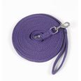 Purple/Navy