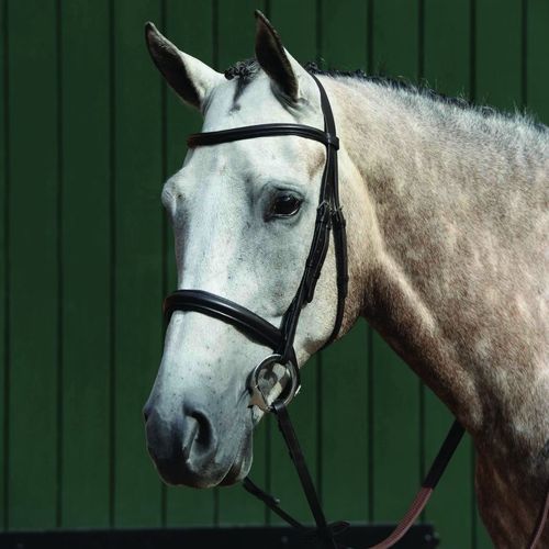 Collegiate Essential Padded Raised Cavesson Bridle - Brown