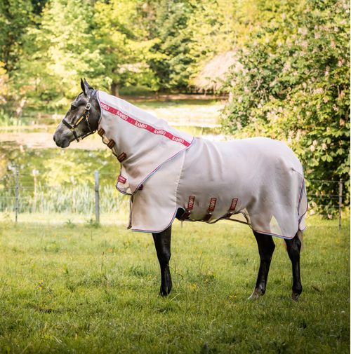 Rambo Protector w/Disc Front - Oatmeal/Cherry/Peach/Blue