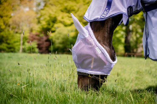 Amigo Fly Mask - Lavender