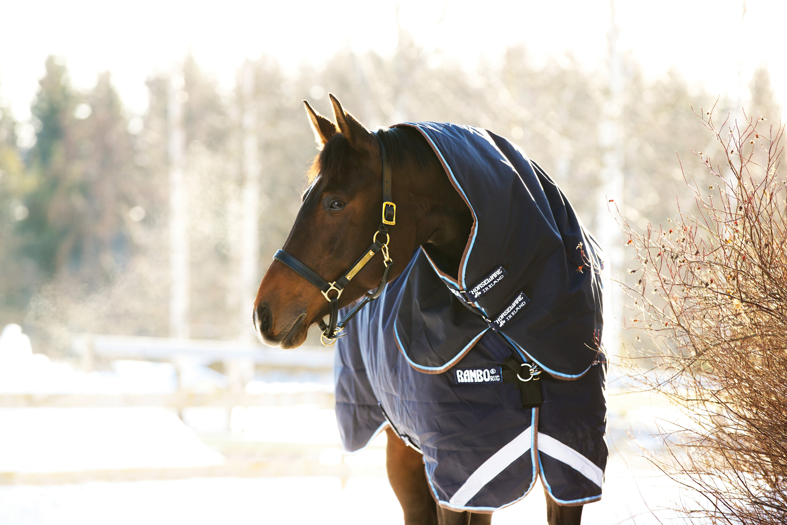 Horseware Rambo Duo Hood 50g - Denim/Orange, Taille S