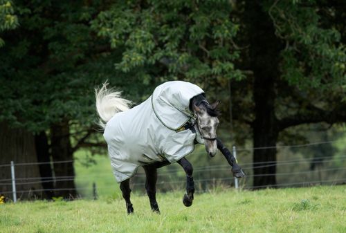 Rambo Duo Bundle Turnout - Grey/Teal/Gold/Navy