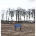 Palace Blue