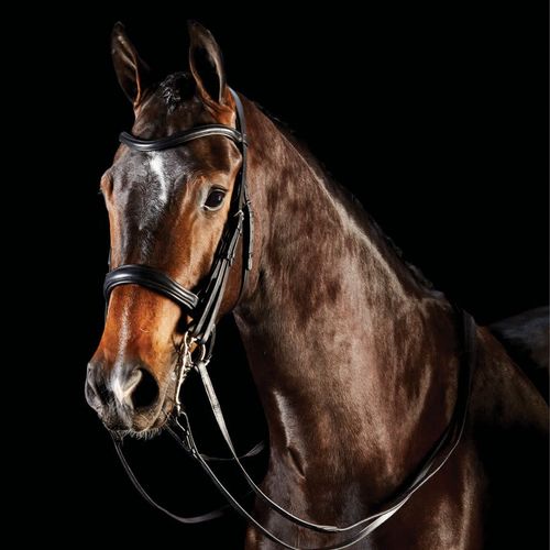 Collegiate Comfitec Weymouth Bridle - Black