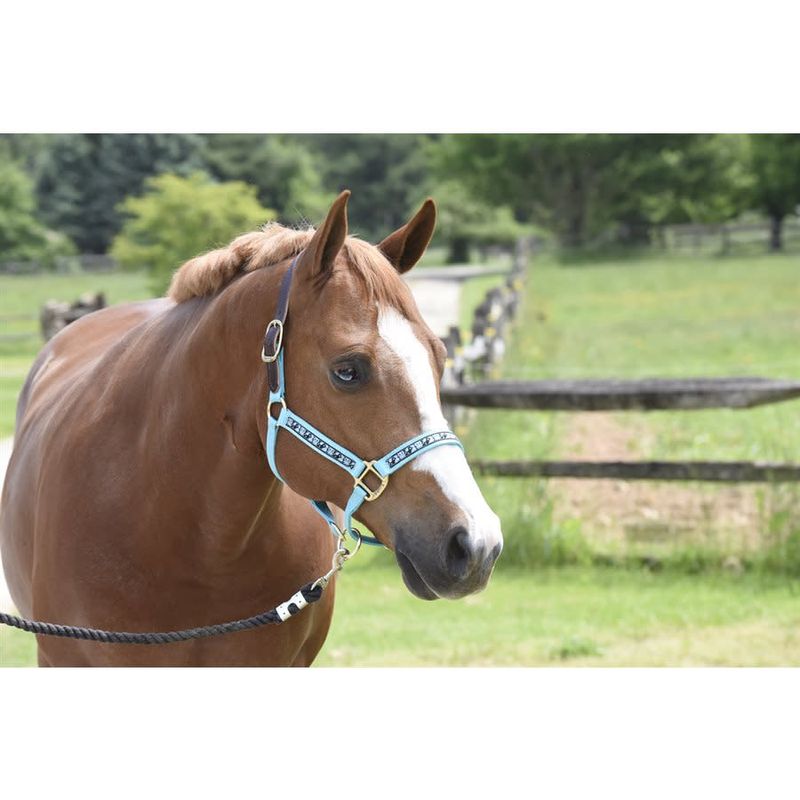 Perris Leather Ribbon Safety Halter 