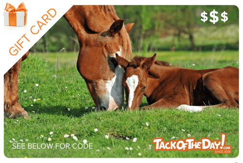 Tack of the Day Gift Certificate
