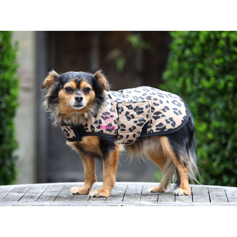 Cath kidston best sale dog coat