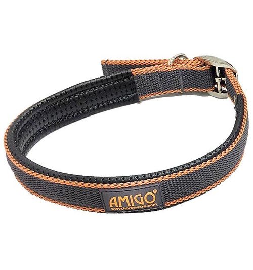 Amigo Dog Collar - Excalibur/Orange