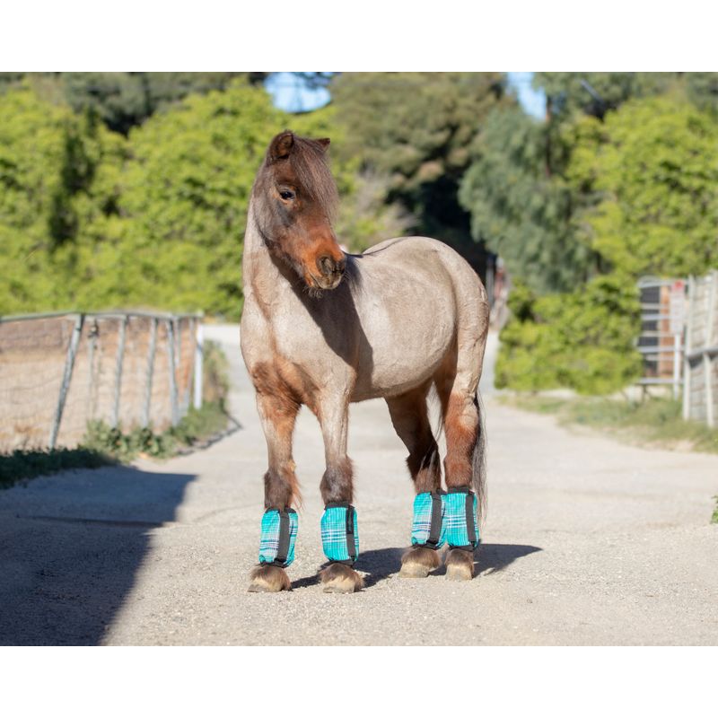 Pony 2025 fly boots