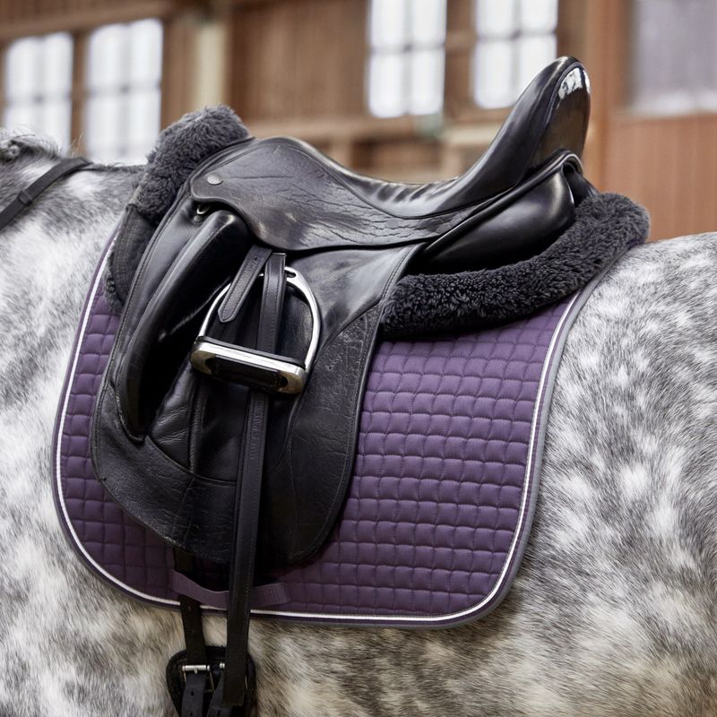 QHP Fenna Saddle Pad Dressage – Sunspree Tack