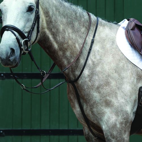 Collegiate Essential Plain Flat Running Martingale - Brown