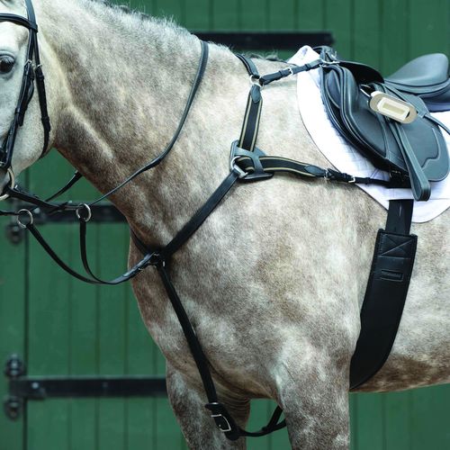 Collegiate Essential 5-Point Breastplate - Black