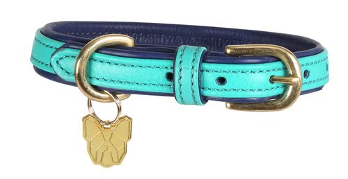 Digby & Fox Padded Leather Dog Collar - Aqua