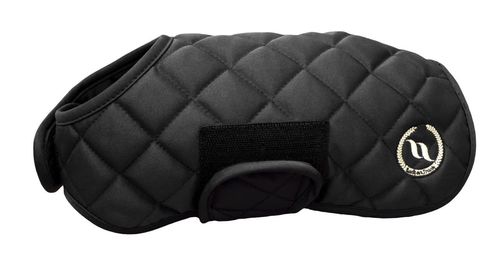 Back on Track Nights Collection Dog Coat - Black