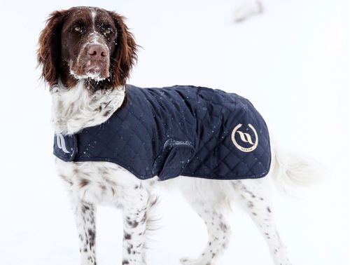 Back on Track Nights Collection Dog Coat - Blue