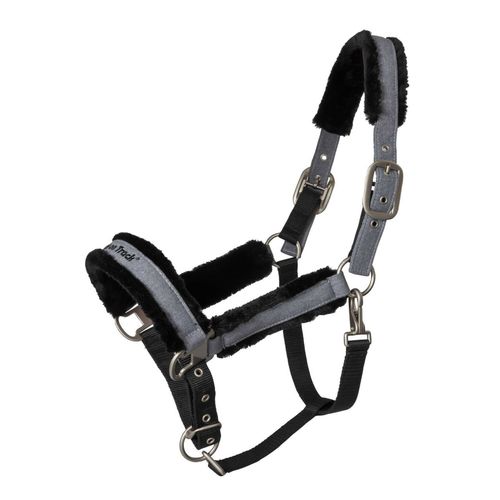Back on Track Haze Collection Halter - Grey