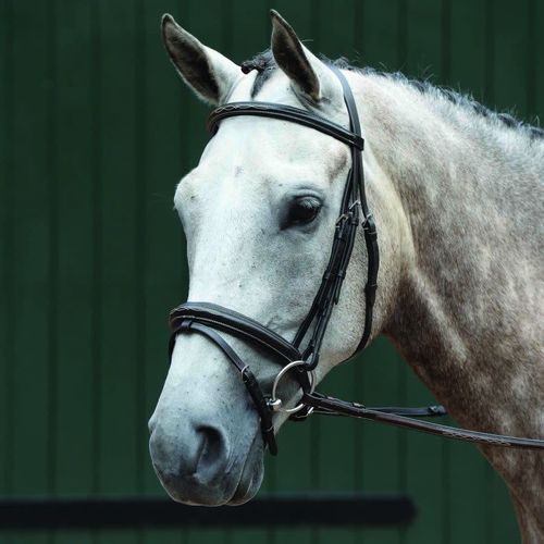 Collegiate Essential Padded Raised Fancy Stitched Flash Bridle - Brown