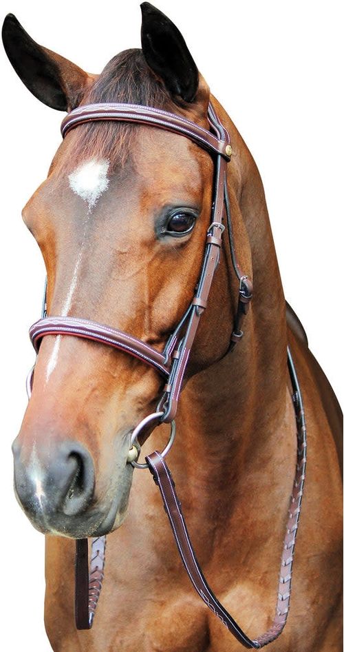 Henri de Rivel Pro Fancy Raised Comfort Crown Padded Bridle w/Reins - Australian Nut