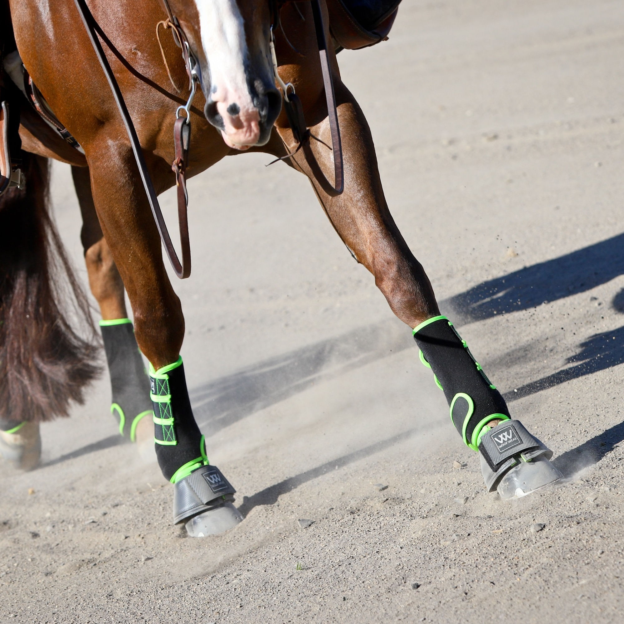 woof wear horse boots