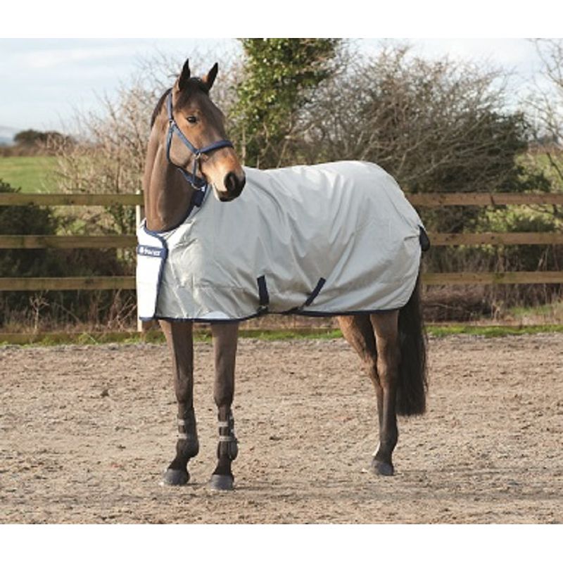 Main