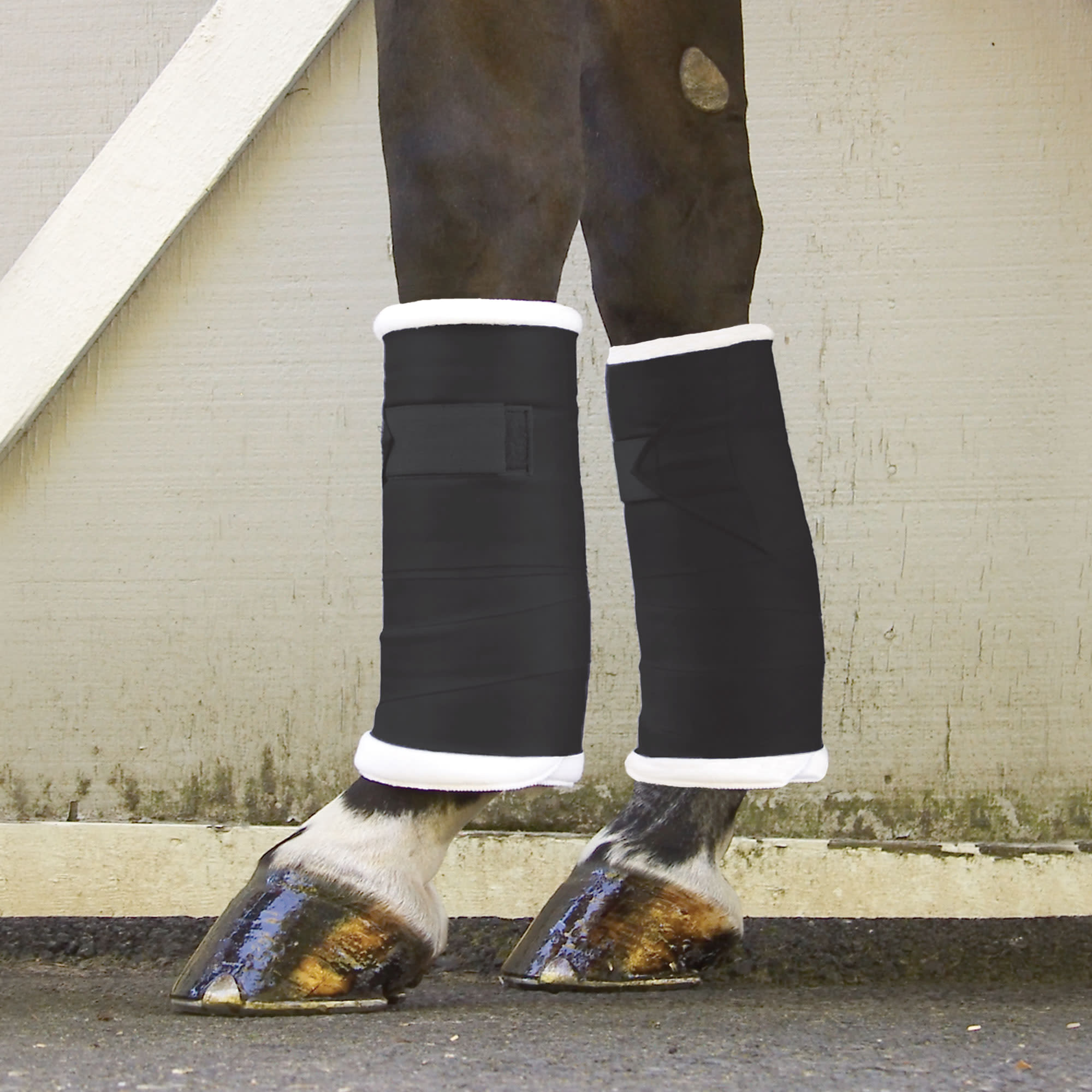 Toklat Standing Bandages - Black - Toklat-22-2007-BK - Tack Of The Day