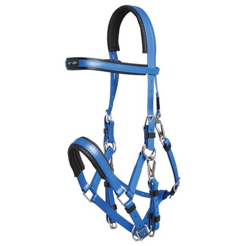 Zilco Marathon Endurance Bridle - Royal Blue