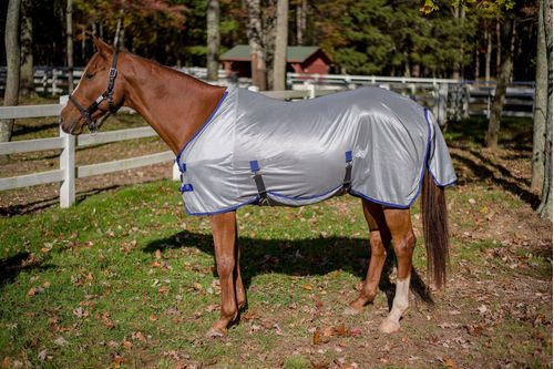 TuffRider Comfy Plus Standard Neck Fly Sheet - Quarry