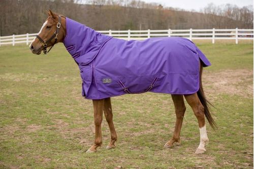 TuffRider 1200 D Comfy Detachable Neck Winter Turnout Blanket 200g - Purple