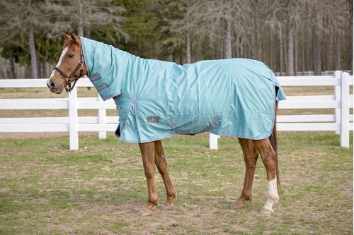 TuffRider 600 D Comfy Winter Combo Neck Turnout Blanket 200g - Turquoise