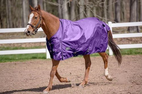 TuffRider 600 D Comfy Winter Standard Neck Turnout Sheet 0g - Purple