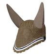Fossil Brown