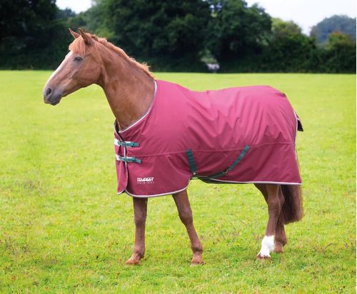 Shires Tempest Original 200 Turnout - Maroon